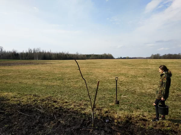 Lauks 2018. gadā